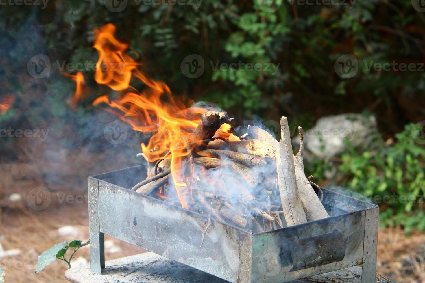 groenten en vlees zijn gebakken Aan de grillen. foto