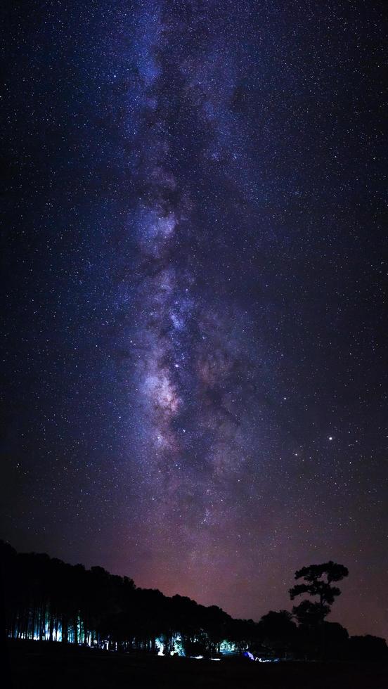 silhouet van pijnboom boom en melkachtig manier heelal Bij phu hin rong kla nationaal park, phitsanulok Thailand foto