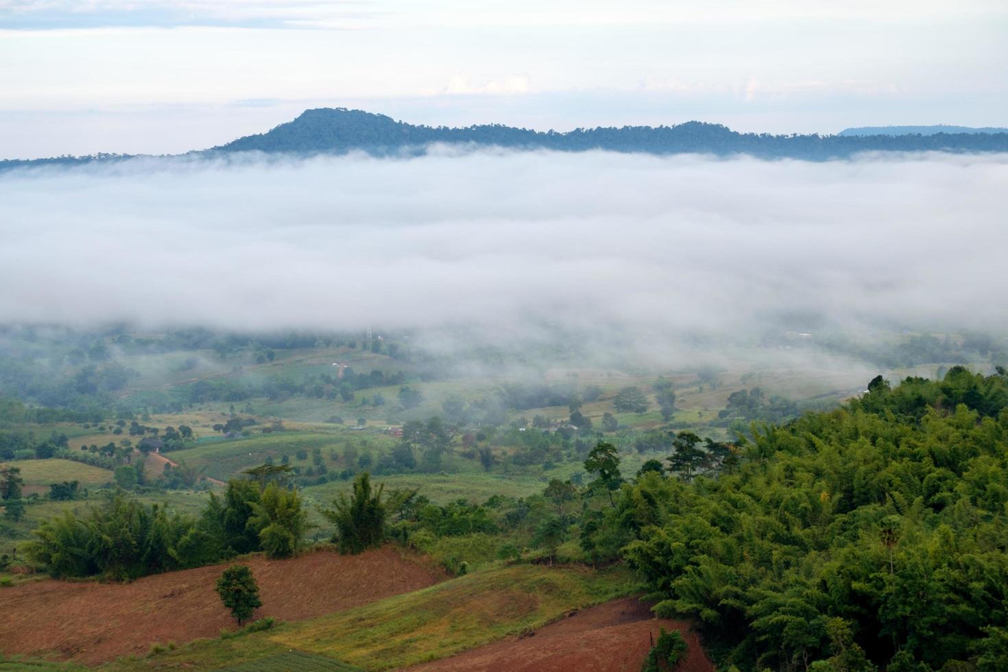 mist in Woud met ochtend- zonsopkomst Bij khao takhian ngo visie punt Bij khao-kho phetchabun, thailand foto