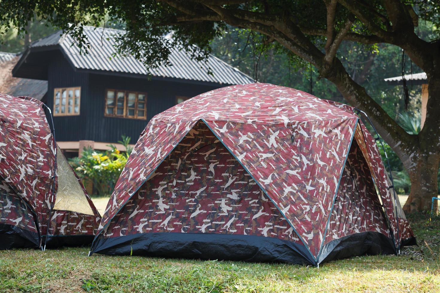 koepel tent camping Bij thung salang luang nationaal park phetchabun, thailand foto