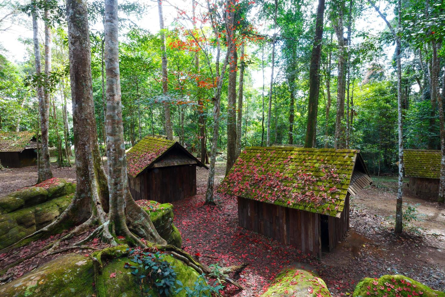 rood esdoornblad met politieke en militaire school in het nationale park phu hin rong kla, thailand foto