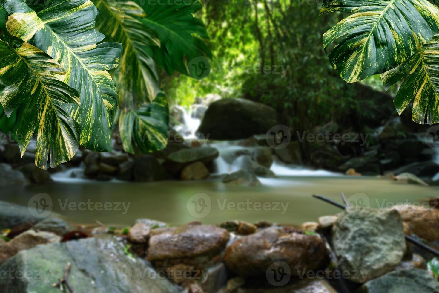 groen bladeren patroon voor natuur concept, blad van epipremnum aureum met vervagen vloeiende water van berg stroom achtergrond foto