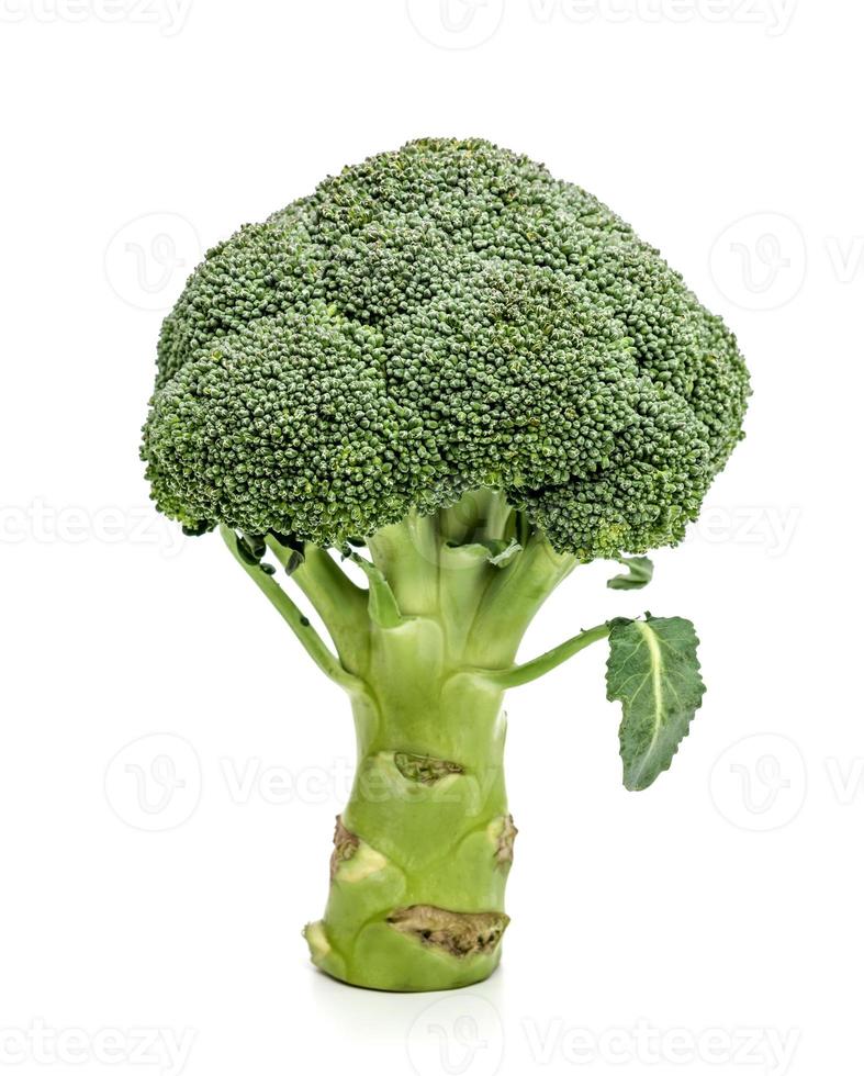 broccoli die op witte achtergrond worden geïsoleerd foto