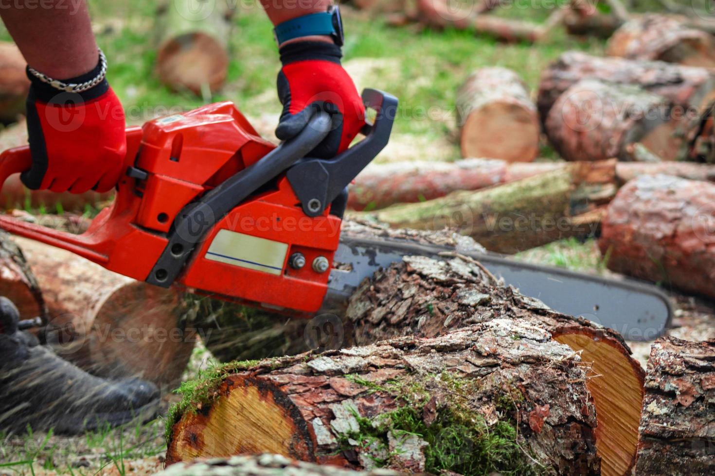 detailopname van houthakker in rood handschoenen zagen rood keten zag in beweging, zaagsel vliegend Aan mannelijke's laarzen foto