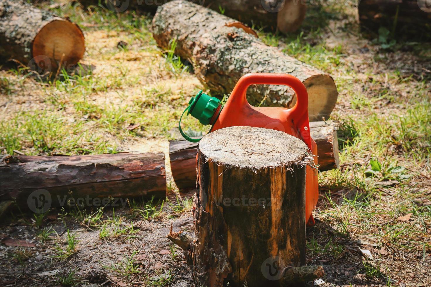 pijnboom boom logboeken met schors liggen in een Woud na wezen besnoeiing door kettingzaag met bus van brandstof achterblijven een stomp foto