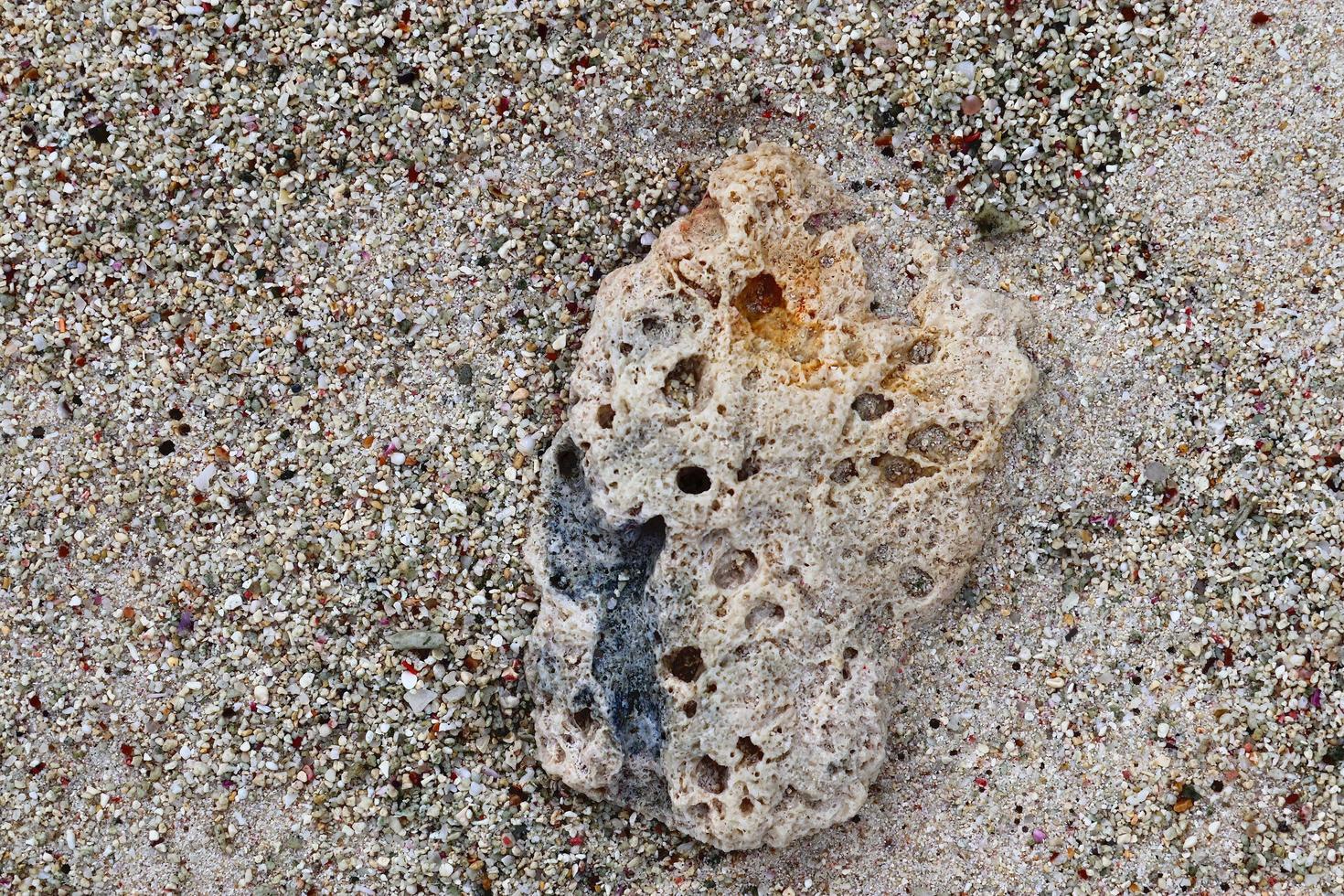 dichtbij omhoog van koralen Bij de strand Aan de paradijs eiland Seychellen foto