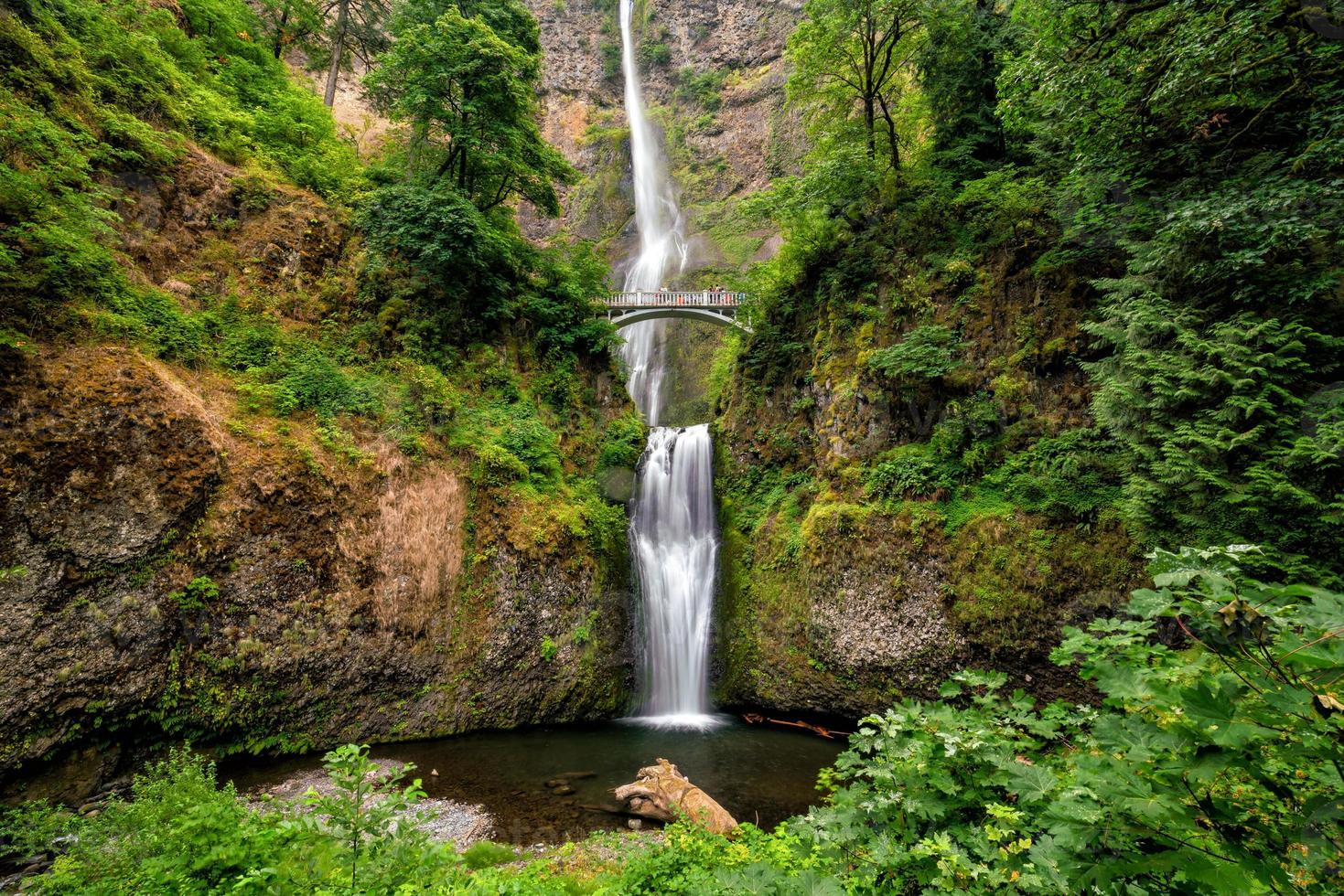 multnomah valt in de Columbia rivier- kloof foto