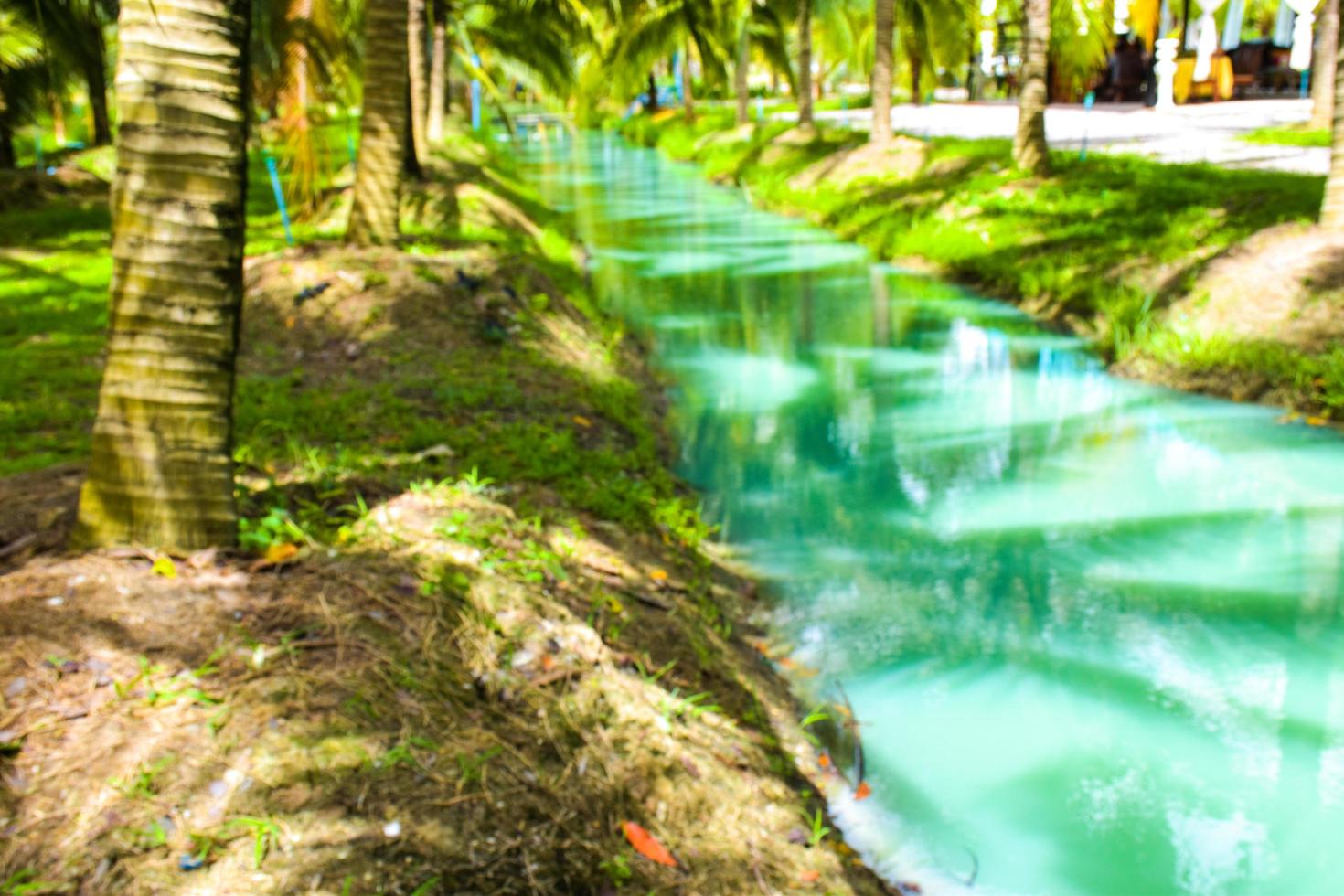 kokosnoot bomen en blauw water schoonheid natuur in zuiden Thailand foto