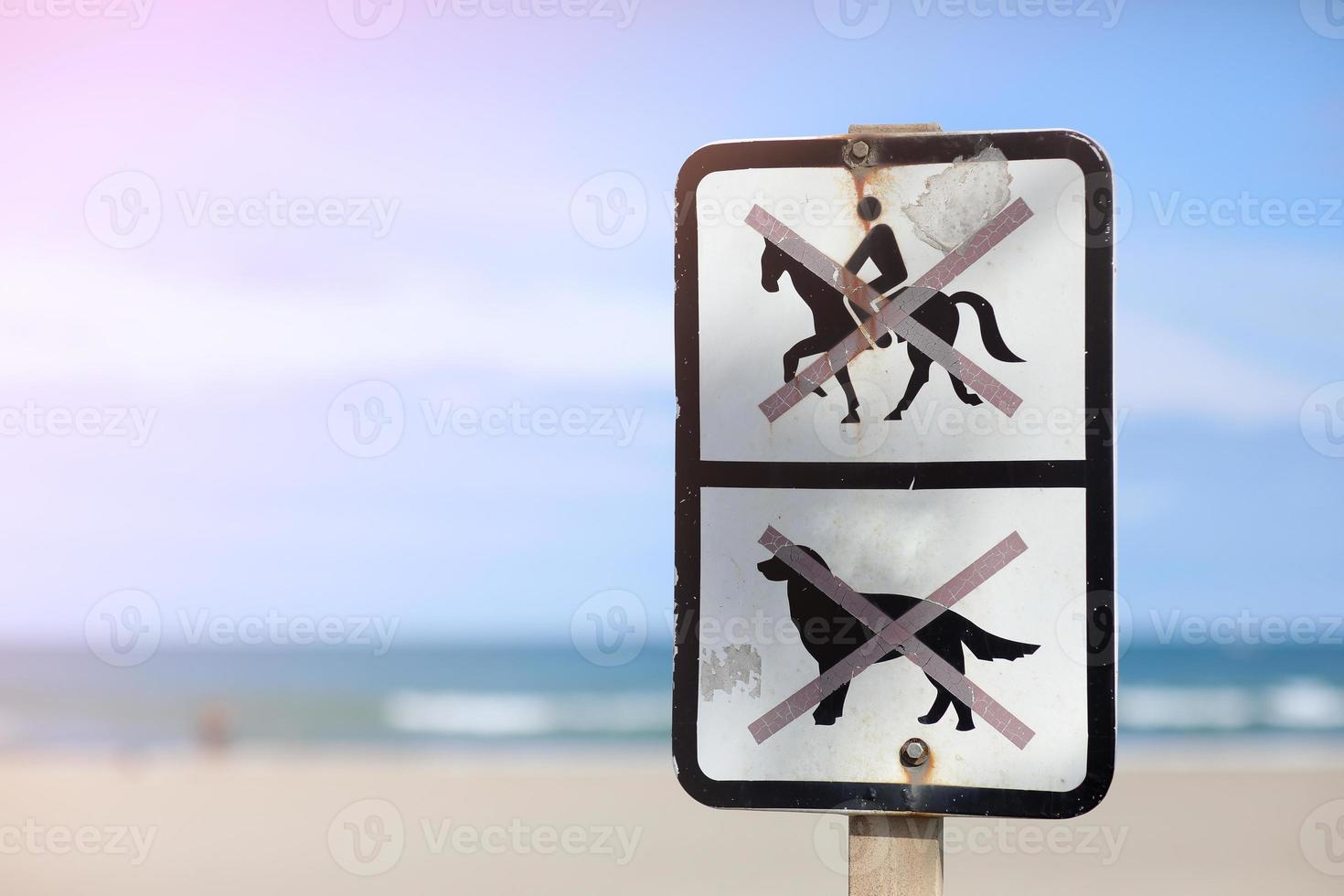 teken Aan de strand honden zijn verboden en Aan te paard rijden is verboden. waarschuwing Aan de strand dat is verboden aan het doen. hoog kwaliteit foto