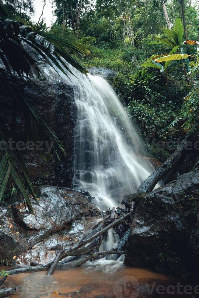 waterval in tropisch bos, waterval in oerwoud foto