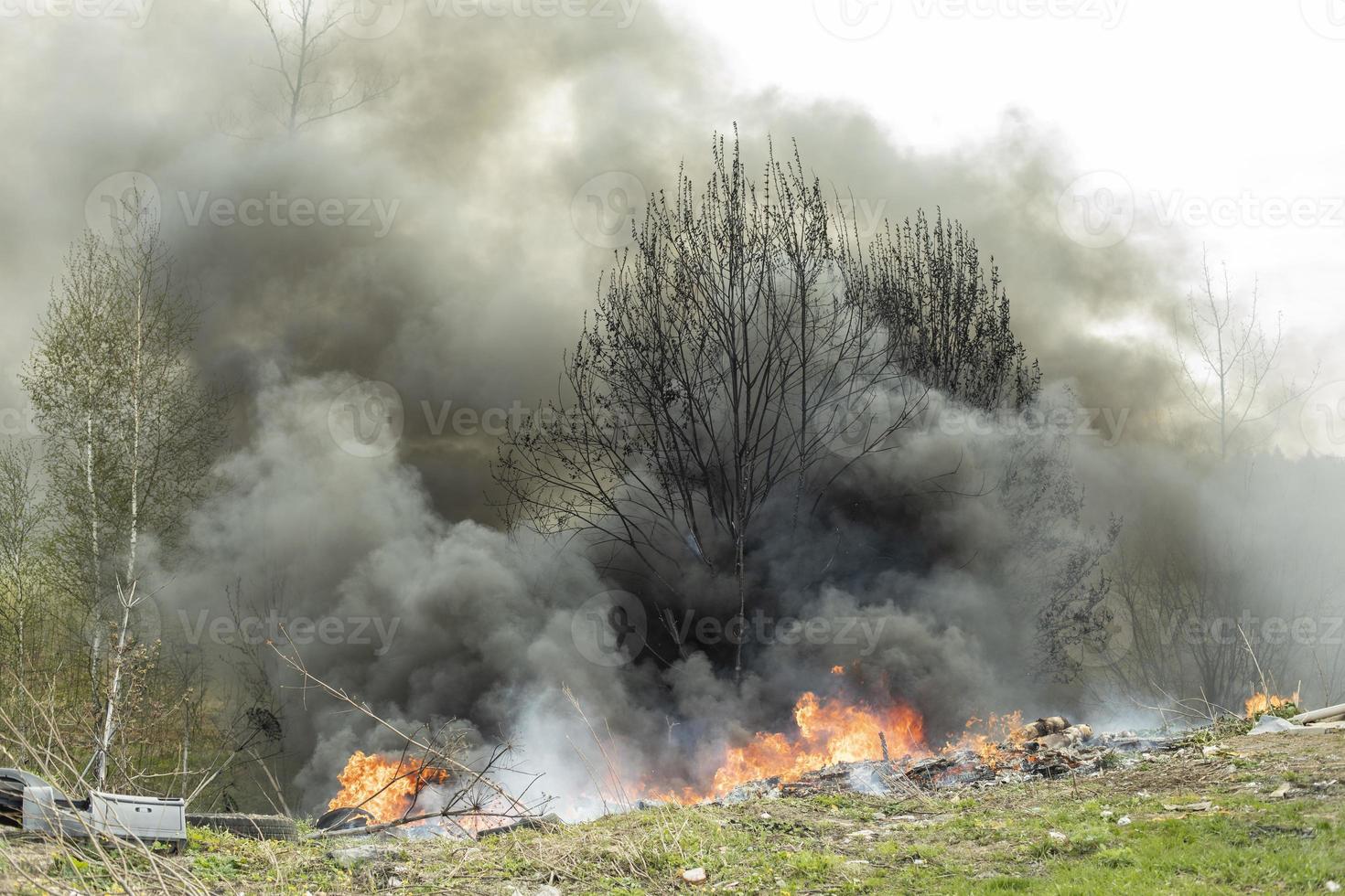 bomen zijn brandend. brand in natuur. brandend vuilnis dumpen. schade naar omgeving. foto