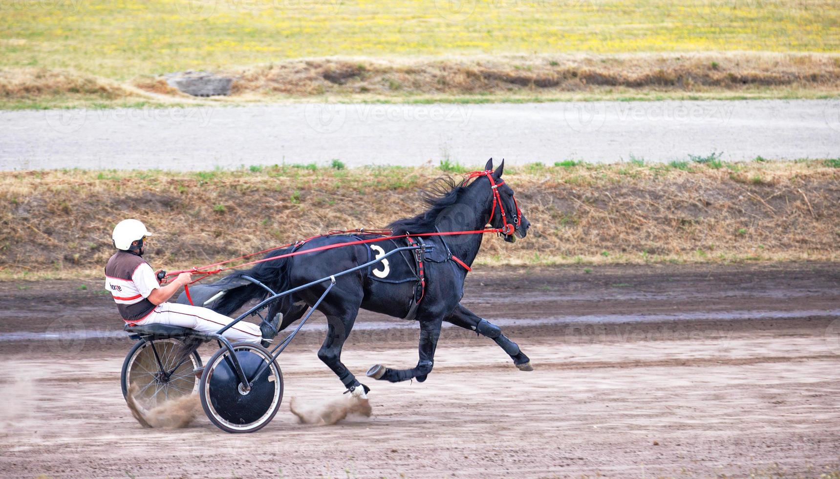 wagen racing Bij de hippodroom. te paard rijden. 06.26.2022. kiev. Oekraïne. foto