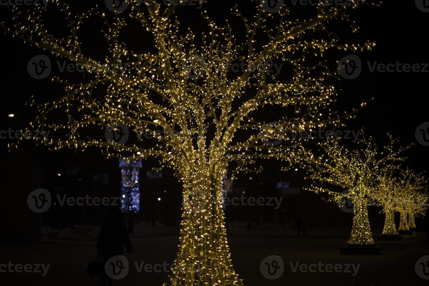 hout in slingers Bij nacht. park decoratie. veel van lichten Aan boom. foto