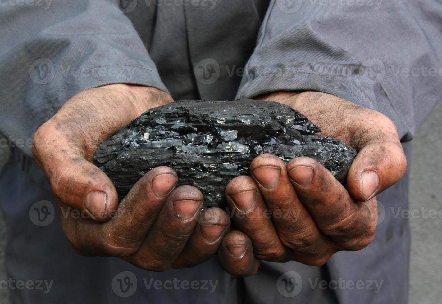 kolen in handen foto