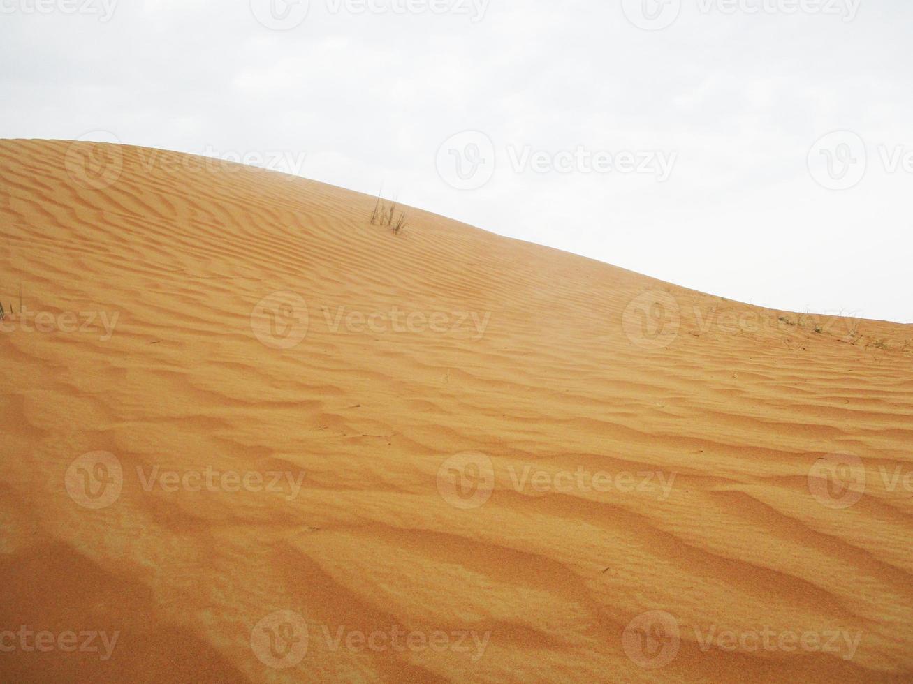 golven van zand textuur. duinen van de woestijn. woestijn duinen zonsondergang landschap. foto