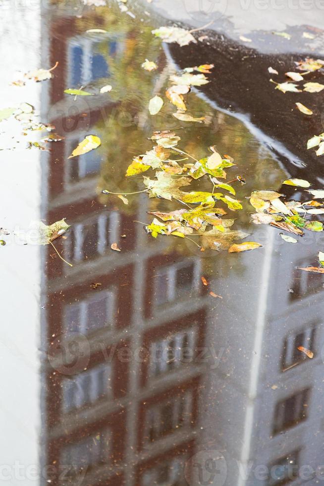 gedaald bladeren in plas Aan stedelijk weg in herfst foto