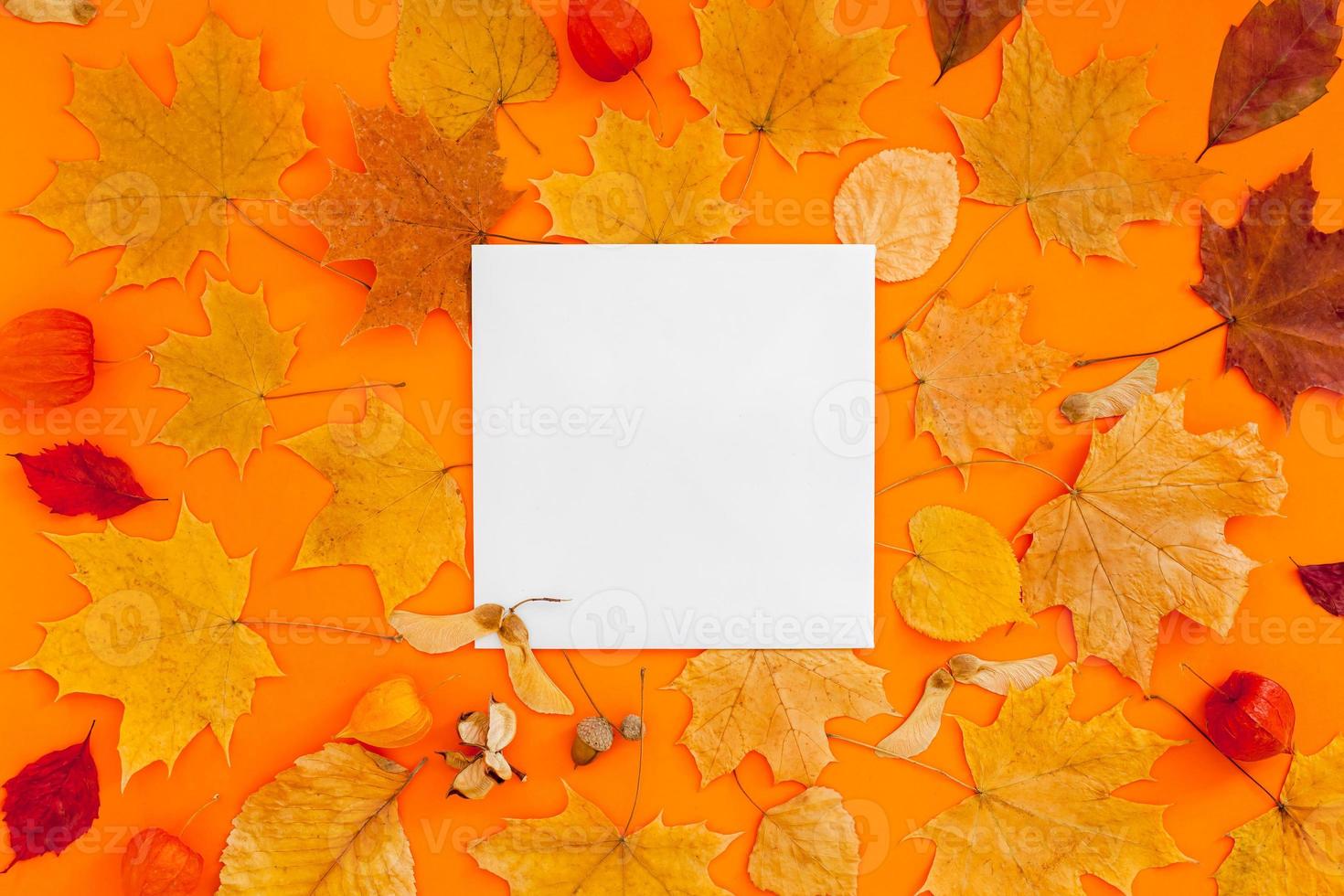 herfst ansichtkaart mockup met herfstbladeren foto