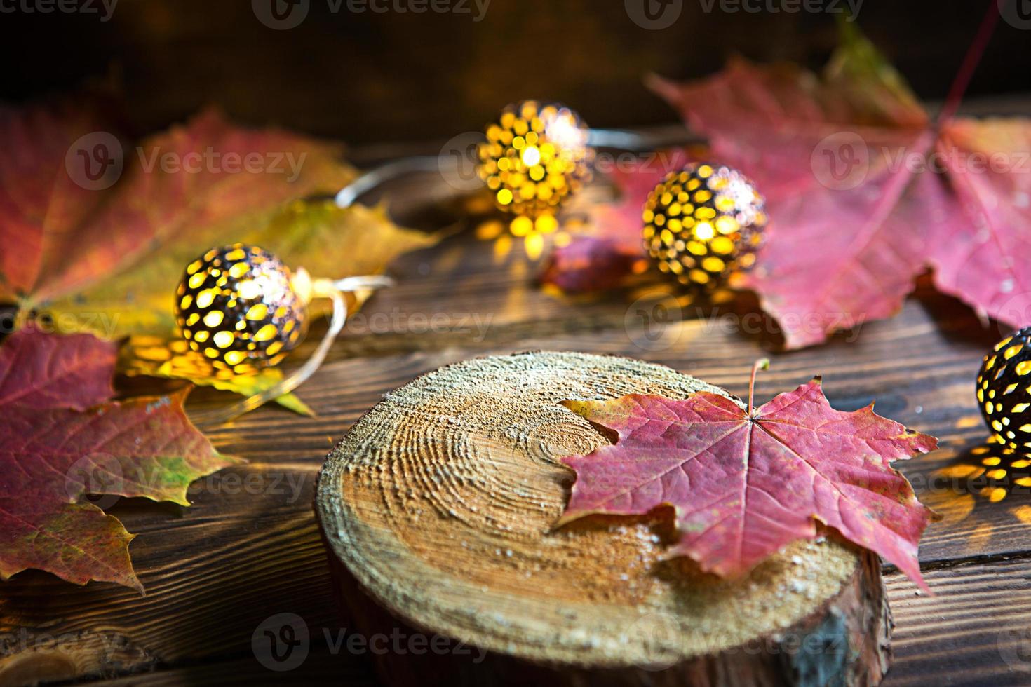 herfst nog steeds leven van gedaald esdoorn- rood en geel bladeren en warm lichten slingers Aan een houten achtergrond. focus Aan een blad Aan een sectie van een boom. de atmosfeer van de vakantie, halloween, dankzegging. foto