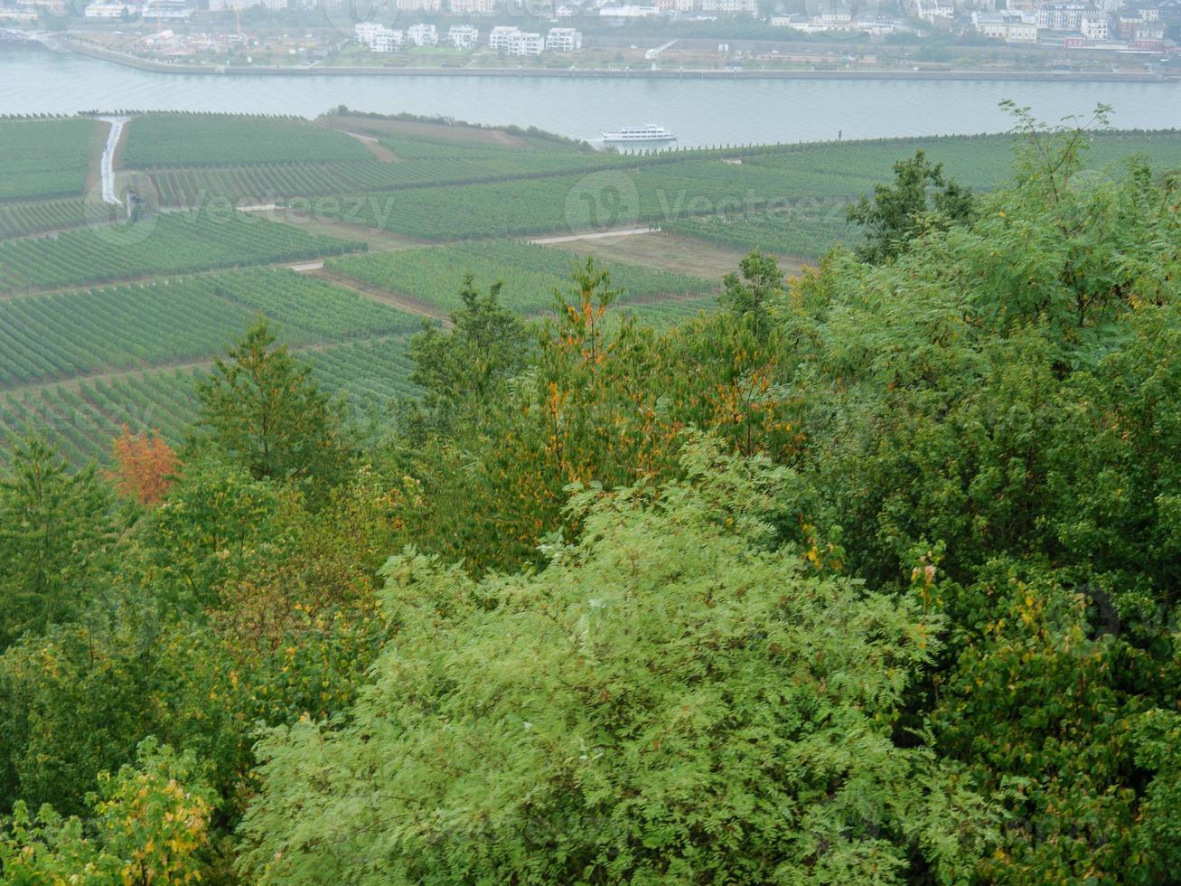 rüdesheim Bij de rivier- Rijn foto