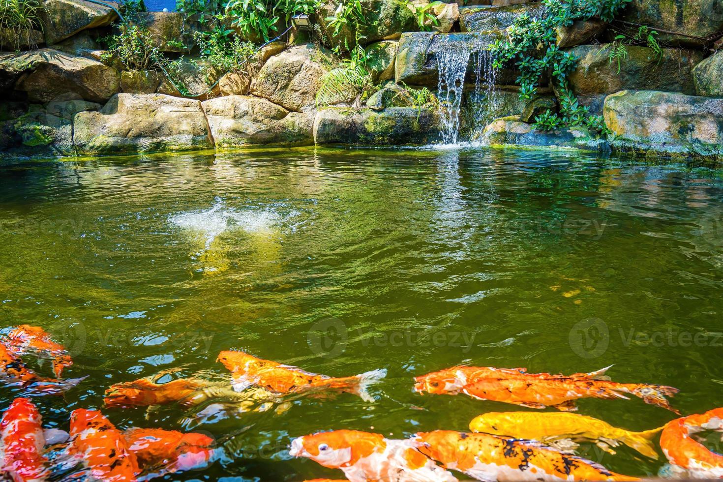 Japans tuin watervallen. weelderig groen tropisch koi vijver met waterval van elk kant. een weelderig groen tuin met waterval trapsgewijs naar beneden de rotsachtig stenen. zen en vredig achtergrond. foto