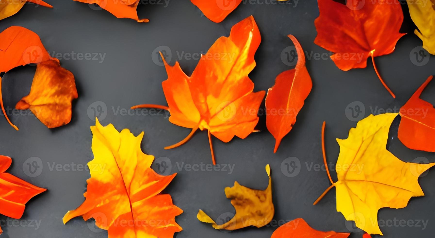 herfst landschap met helder kleurrijk bladeren. Indisch zomer. gebladerte. foto