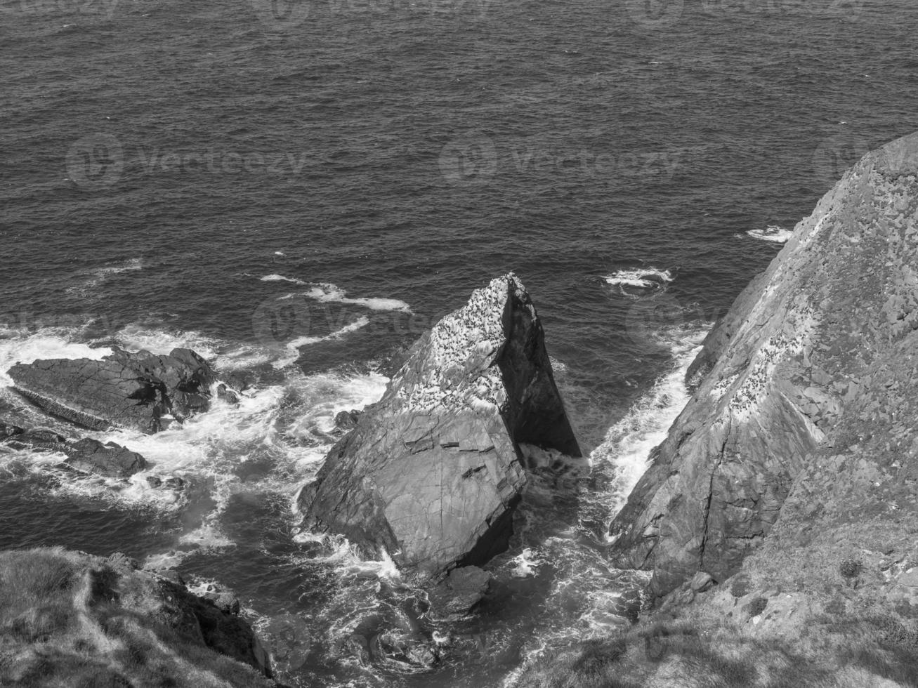 de eiland van shetland foto