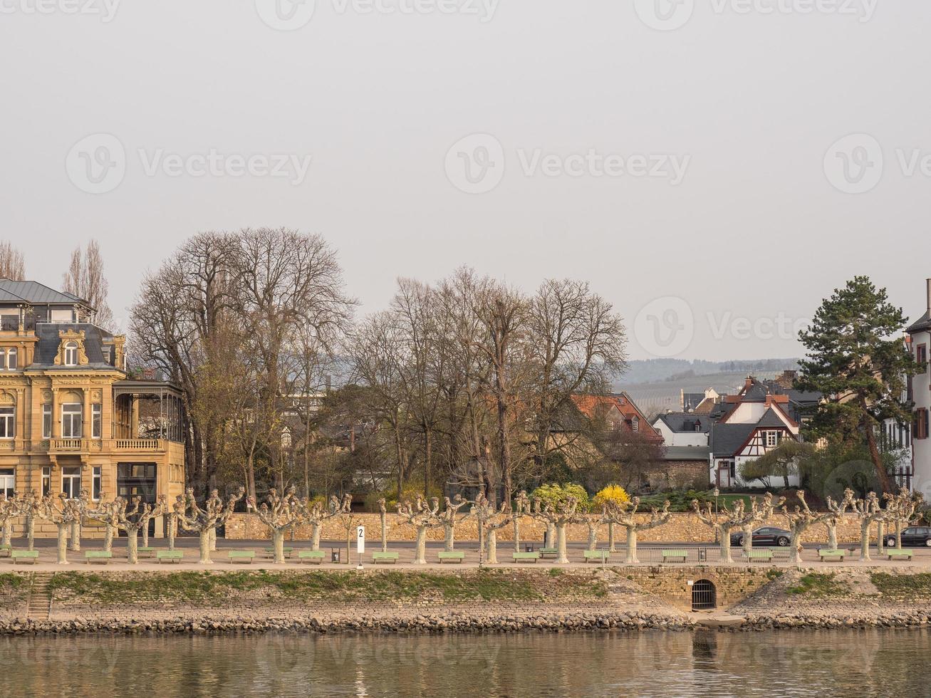 de rivier- Rijn in Duitsland foto