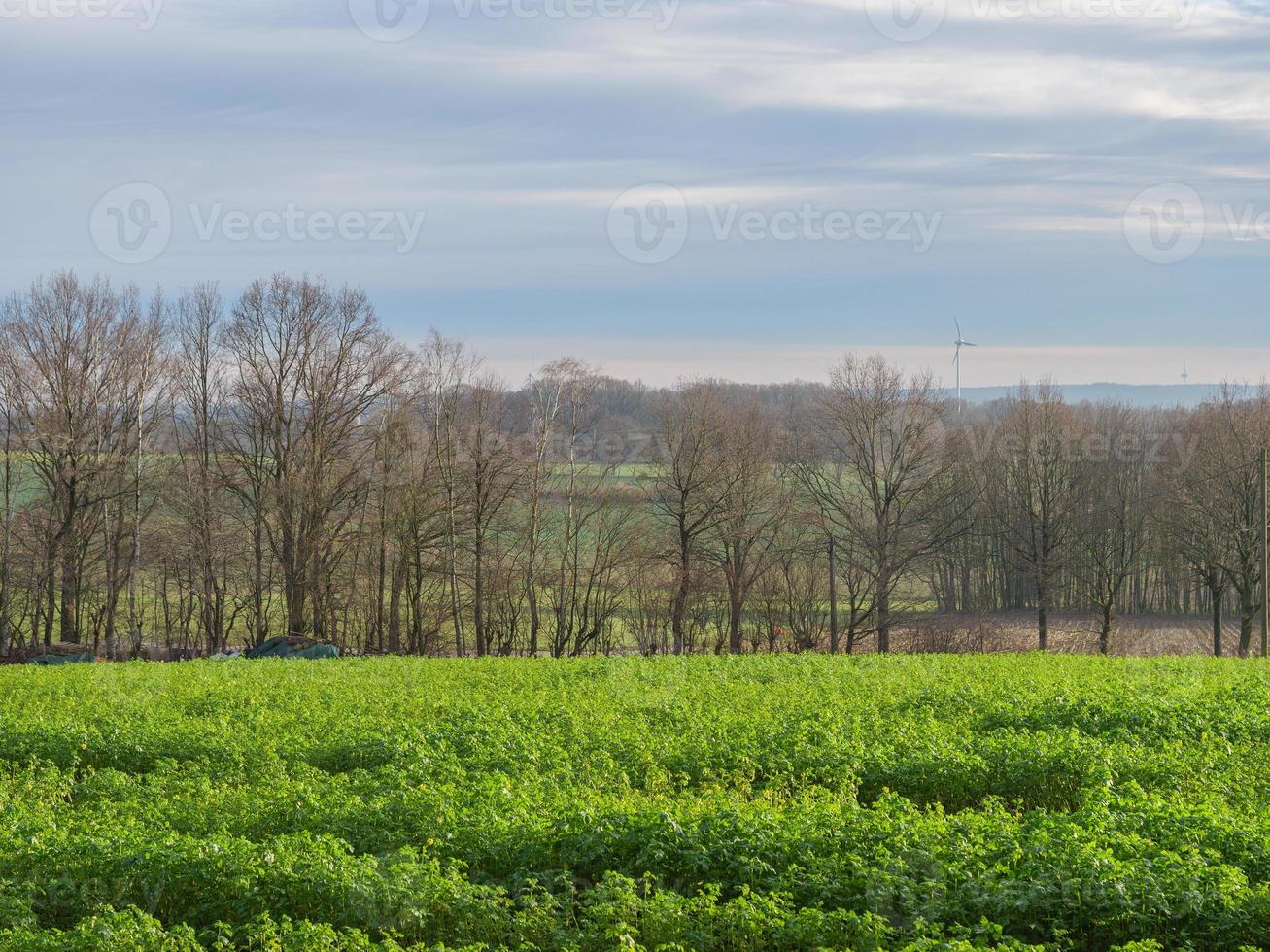 wandelen in de Duitse münsterland foto