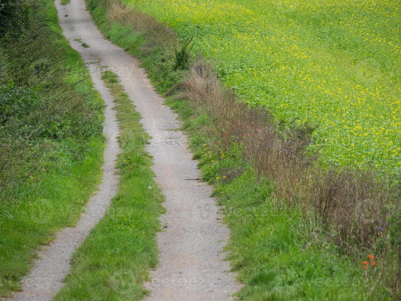 wandelen in de Duitse baumberge foto