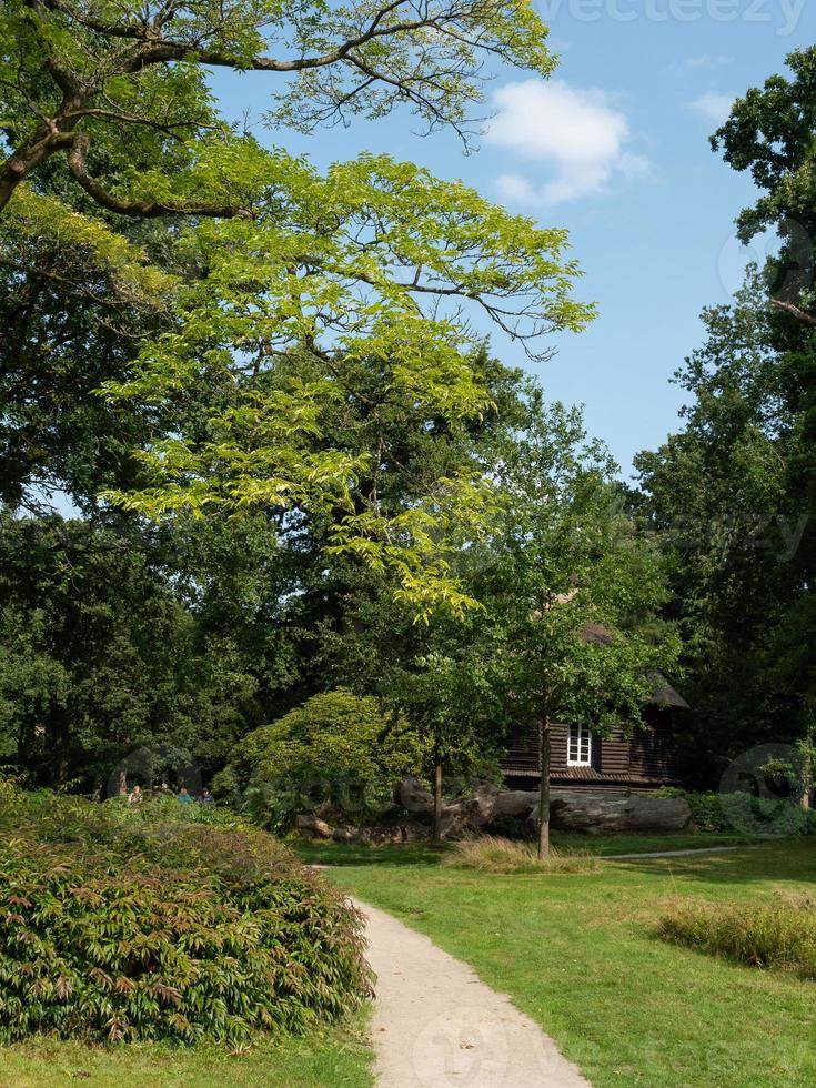 zomer tijd in een park in noordelijk Duitsland foto