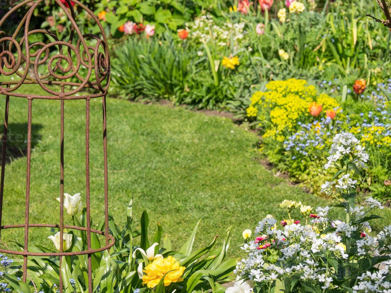 zomertijd in de tuin foto