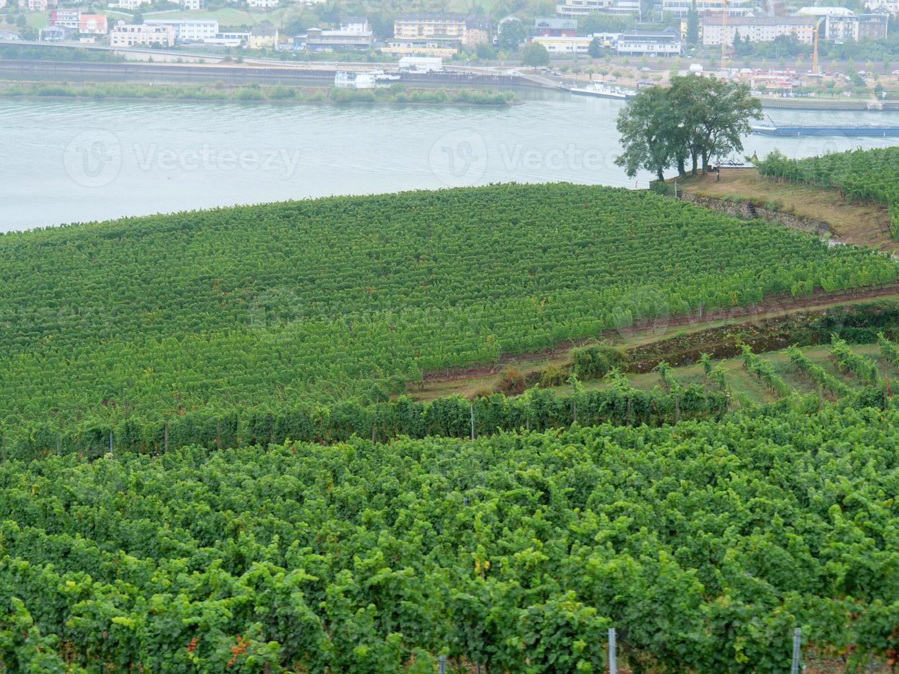 rüdesheim Bij de rivier- Rijn foto