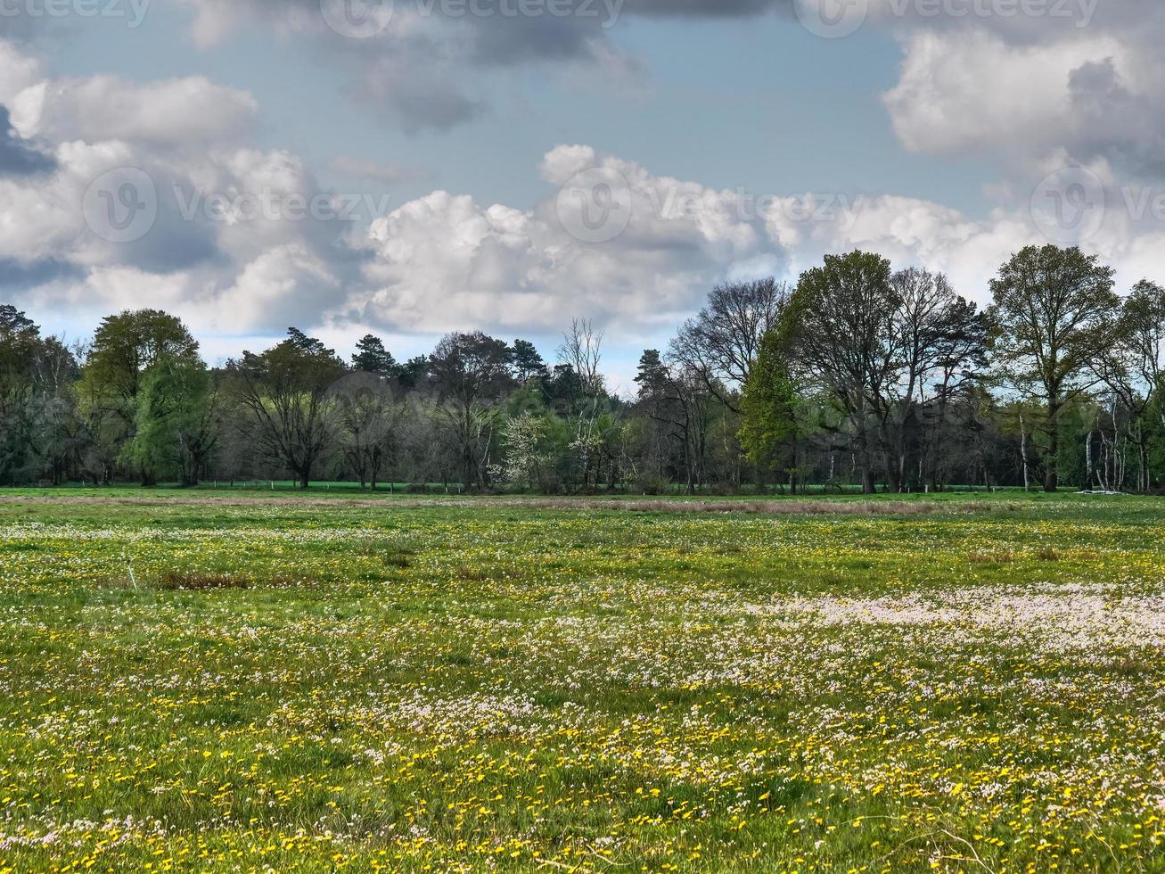 wandelen in de dingdener heider foto