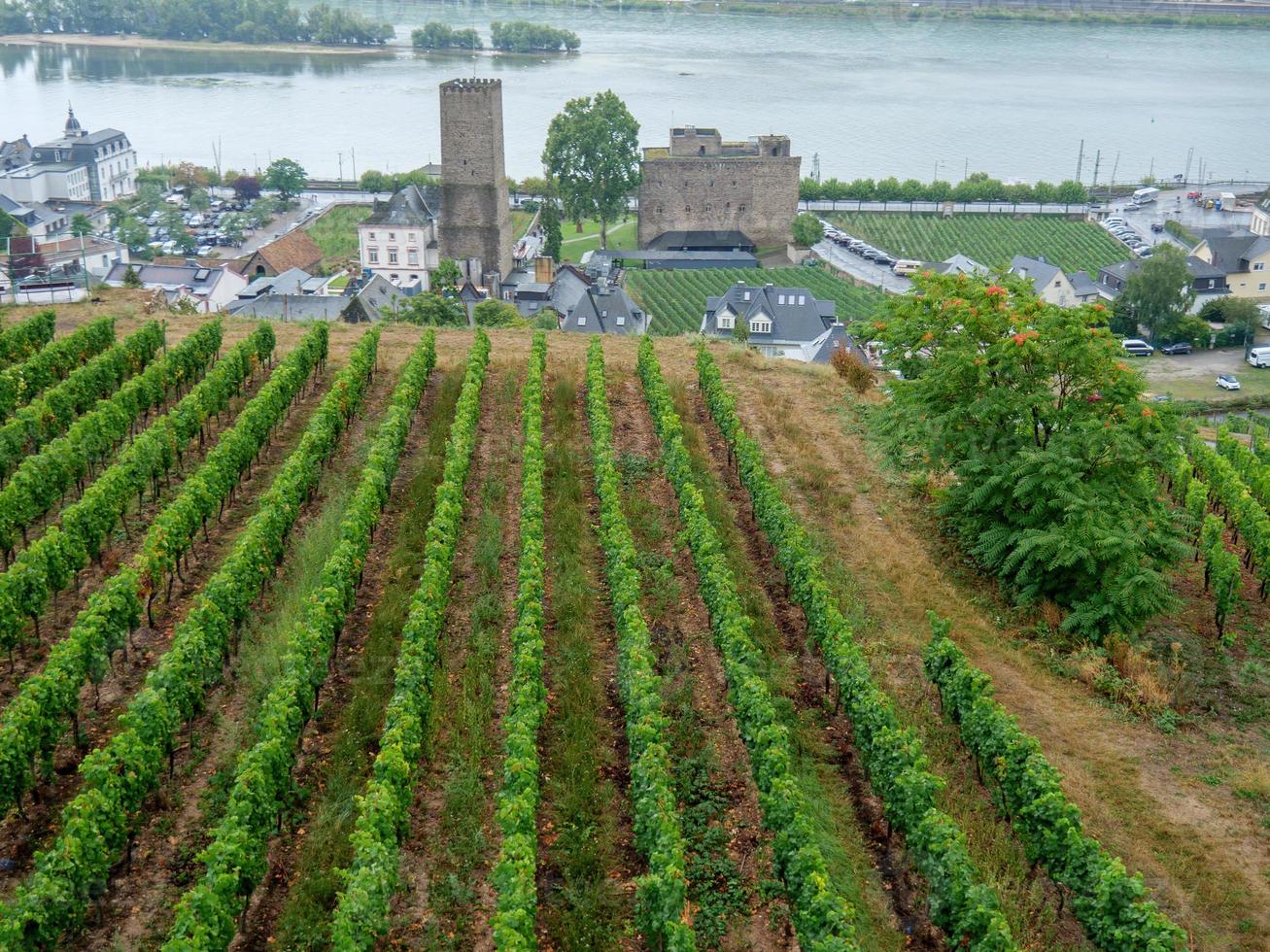 rüdesheim Bij de Rijn rivier- foto