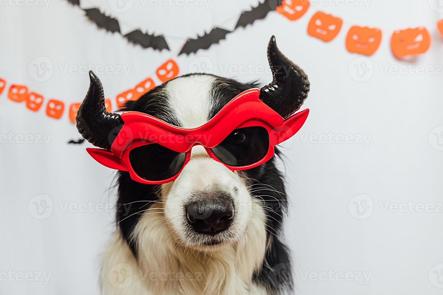 trick or treat-concept. grappige puppy hondje border collie gekleed in halloween domme satan duivel brillen kostuum op witte achtergrond met halloween slinger decoraties. voorbereiding voor halloween-feest. foto