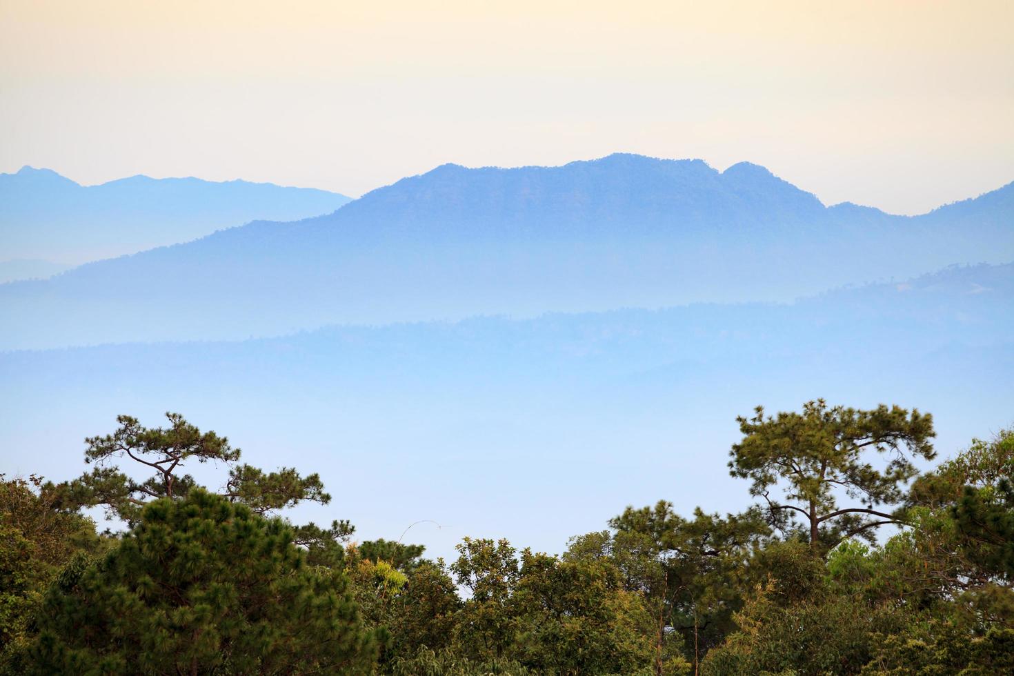 landschap hoog berg zonsopkomst Bij phu hin rong kla nationaal park, phitsanulok in Thailand foto