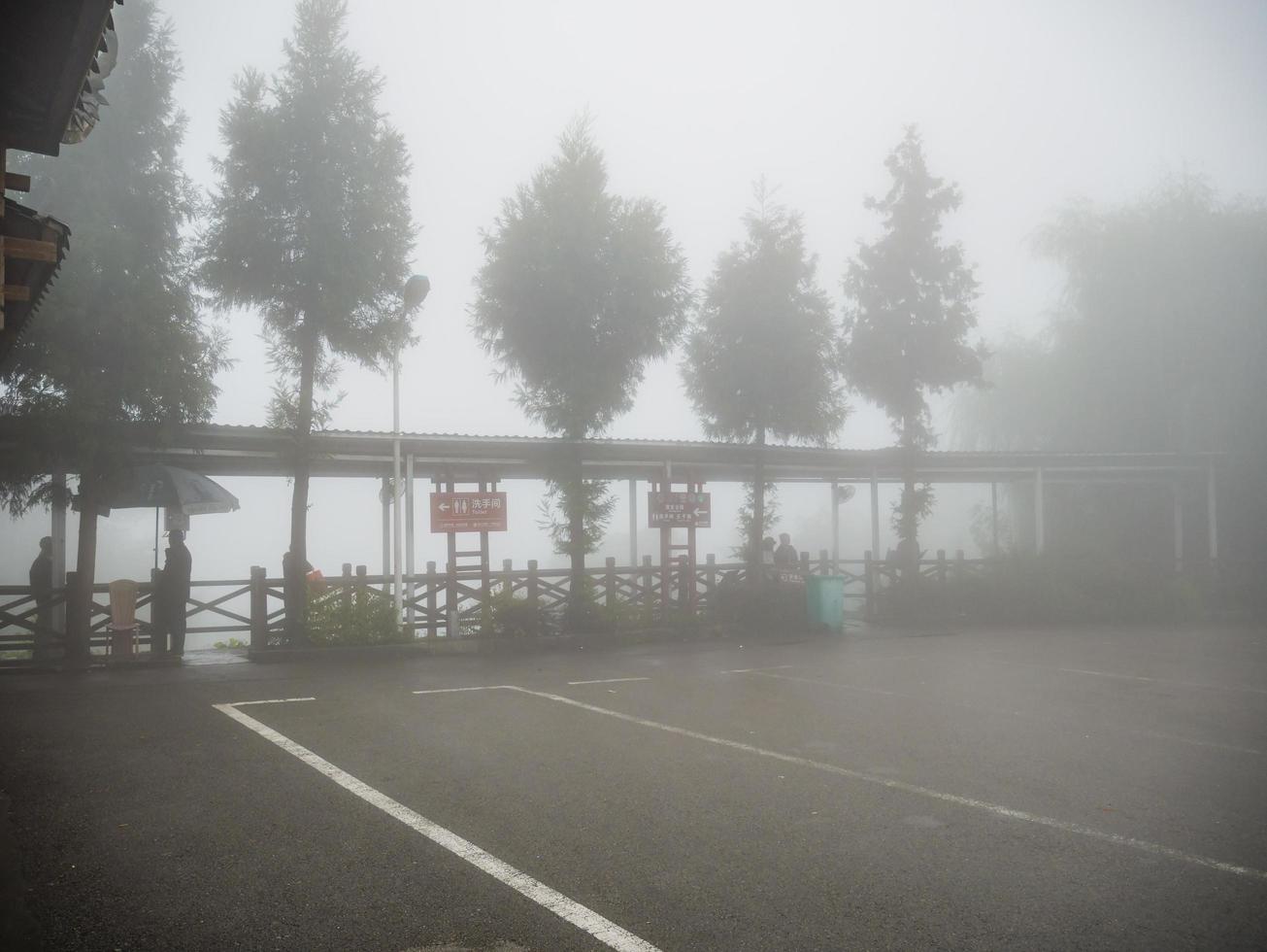 mist Hoes allemaal van tianzi berg in zhangjiajie nationaal Woud park in wulingyuan wijk zhangjiajie stad China in de mistig dag. foto