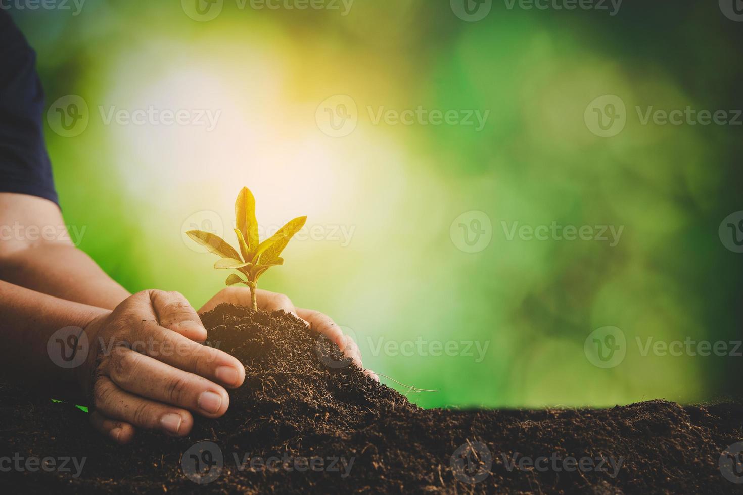 vuil handen zorg fabriek bomen in de aarde Aan wereld milieu dag. jong klein groen nieuw leven groei Aan bodem in ecologie natuur. menselijk persoon toenemen zaailingen en beschermen in tuin. landbouw concept foto