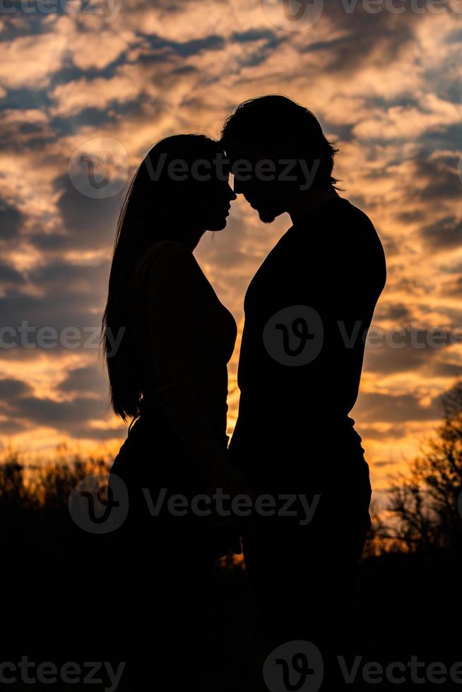 silhouet van romantisch paar verliefd, man en vrouw in avondrood. romantisch van relaties tussen paar liefde in de tuin foto