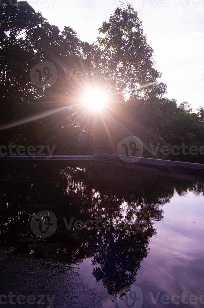 silhouet van boom bladeren met wolken en Doorzichtig lucht foto