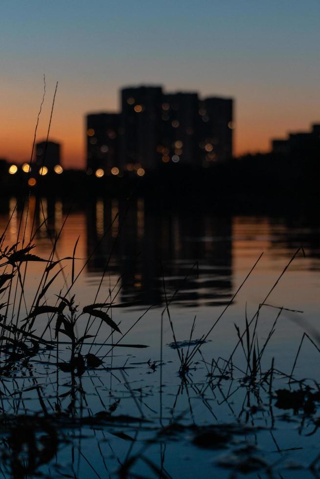 zomer meer in een van de knus kyiv districten foto