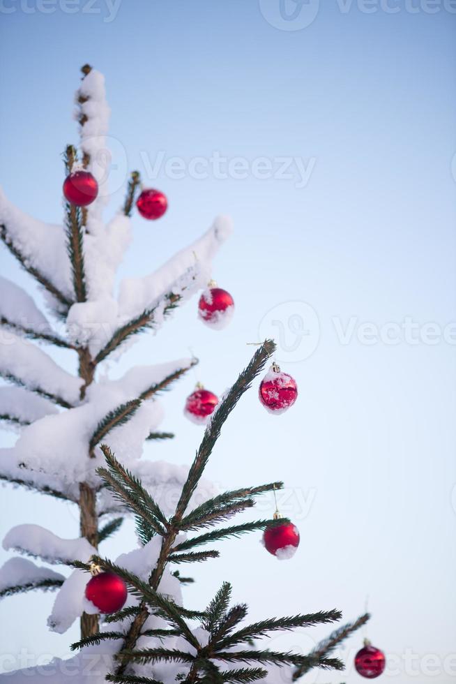 Kerstmis ballen Aan pijnboom boom foto