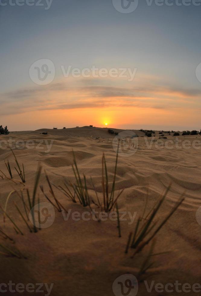 mooi zonsondergang in woestijn foto