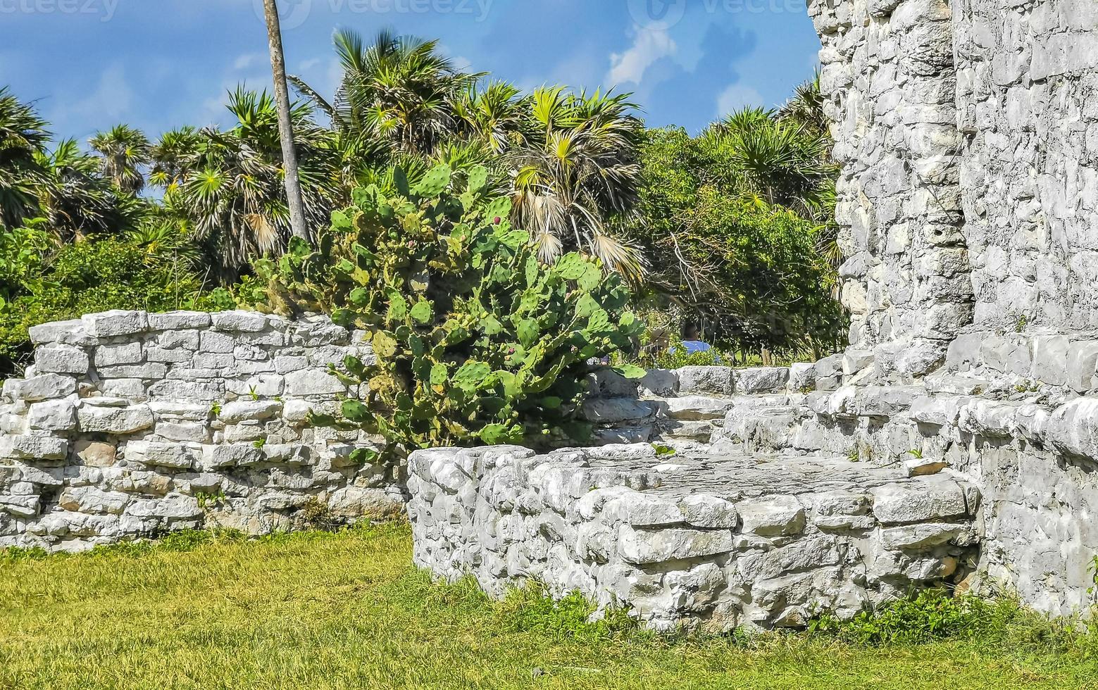 oude tulum ruïnes Maya site tempel piramides artefacten zeegezicht mexico. foto