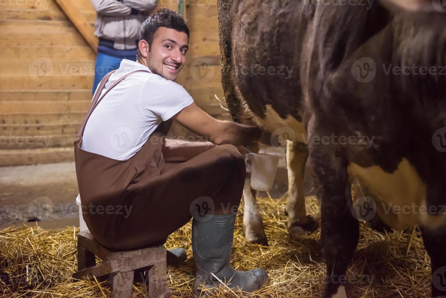 boer melken zuivel koe door hand- foto