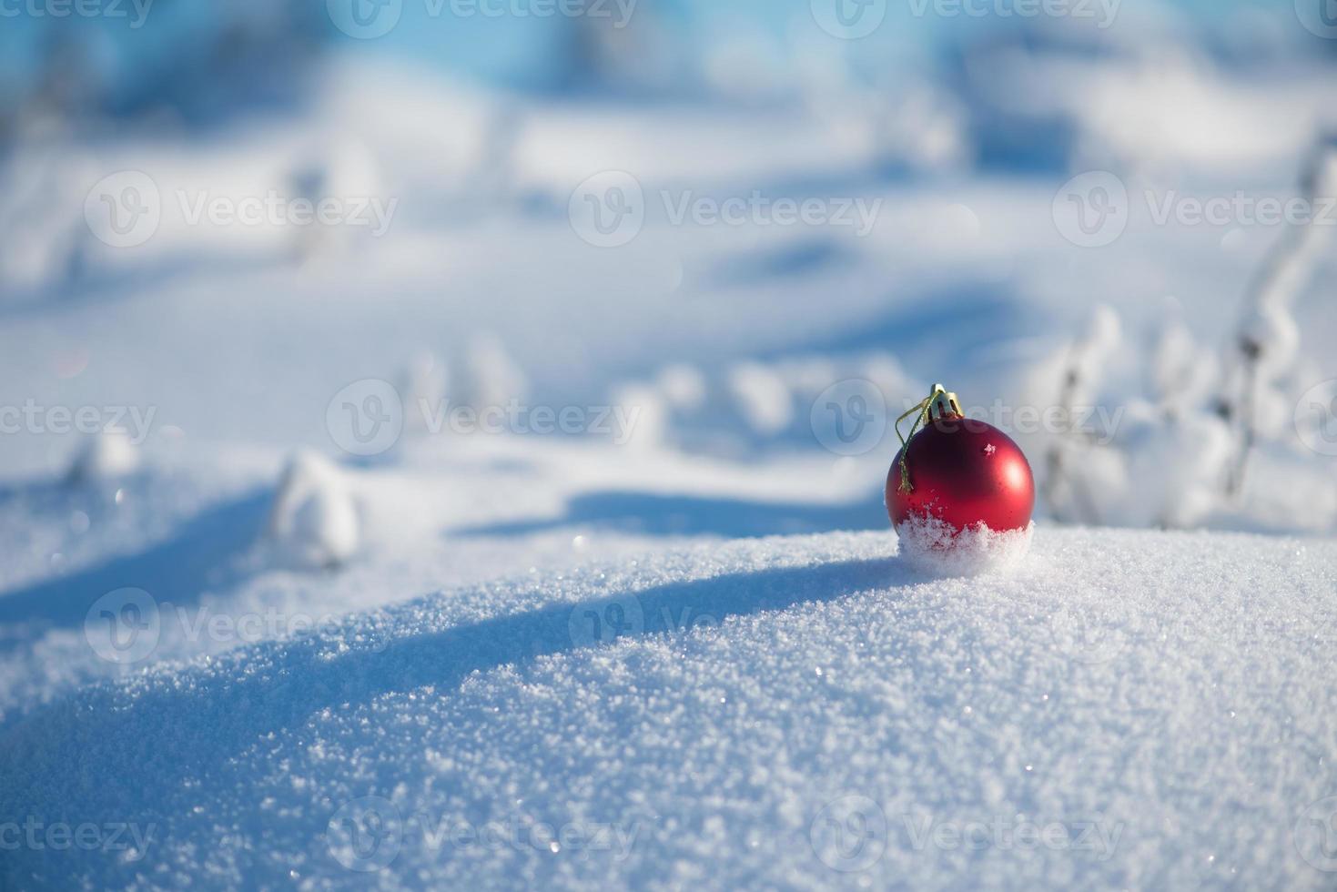 rood Kerstmis bal in vers sneeuw foto