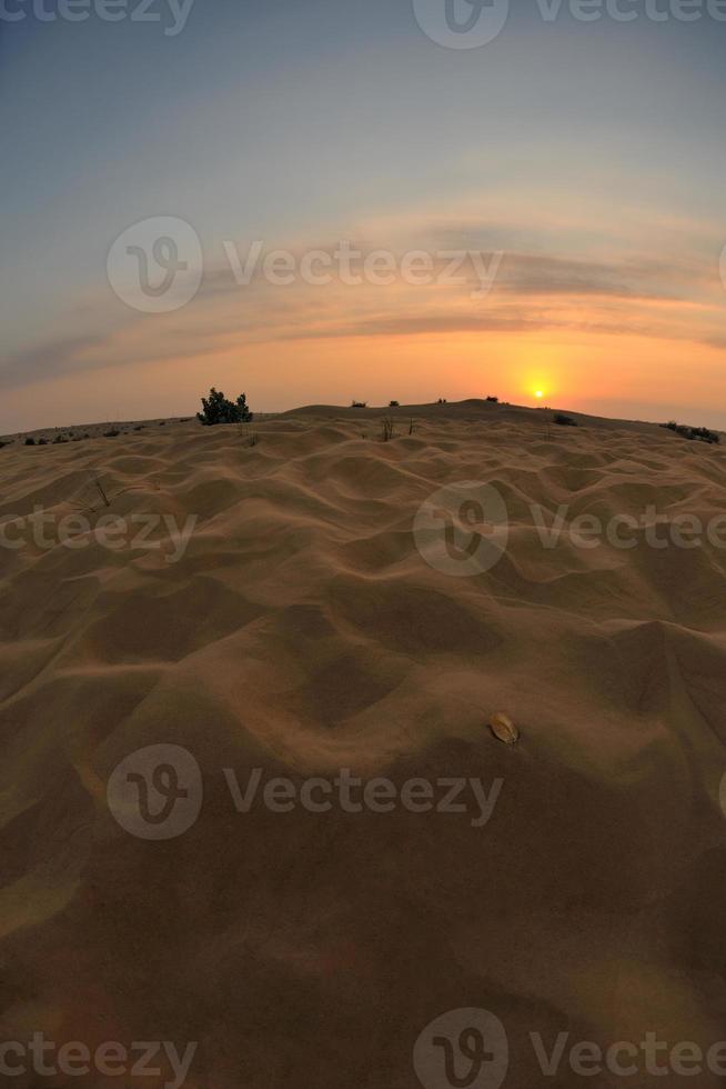 mooi zonsondergang in woestijn foto