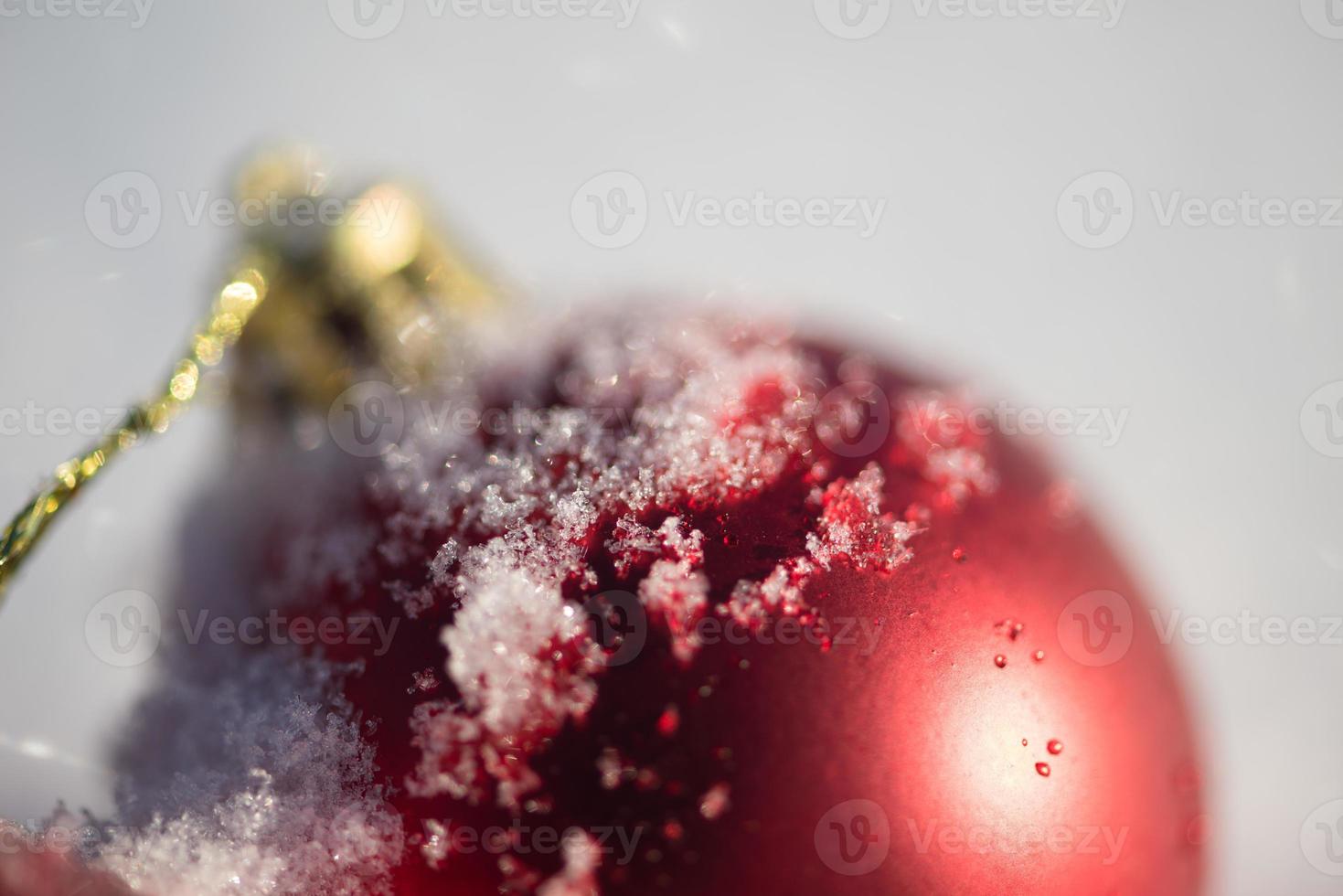 rood Kerstmis bal in vers sneeuw foto