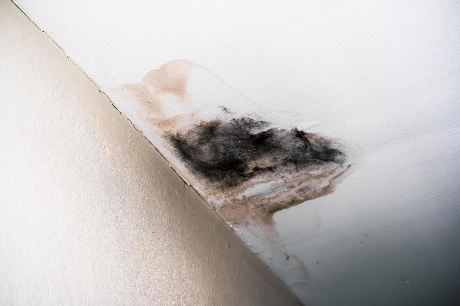 water beschadigd plafond dak en muur, lekkage bruin bekladden in een oud kantoor gebouw foto