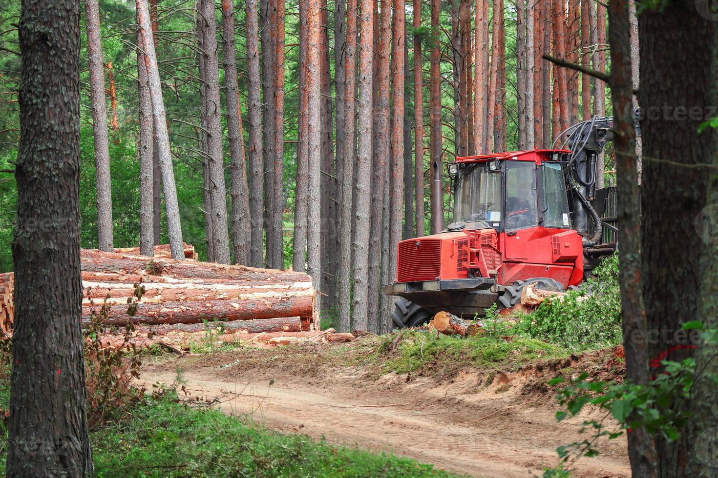 rood Woud machine dat wist bomen in groen zomer Woud staand in de buurt zanderig weg omringd door groeit boom boomstammen foto